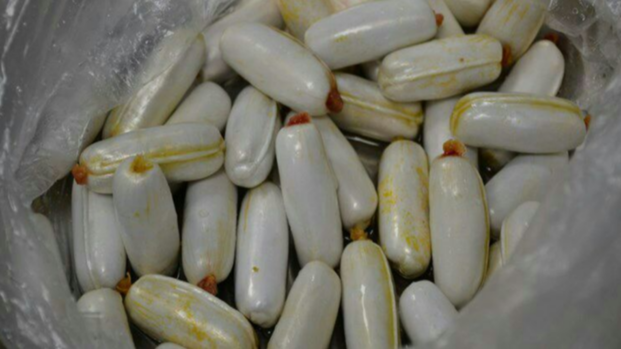 کشف ۱۷۰ بسته مواد مخدر بلعیده شده در مرز دوغارون تایباد