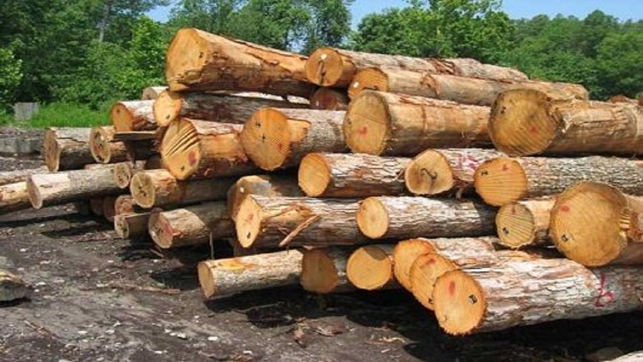 کشف بیش از ۷ تن چوب قاچاق در شوش