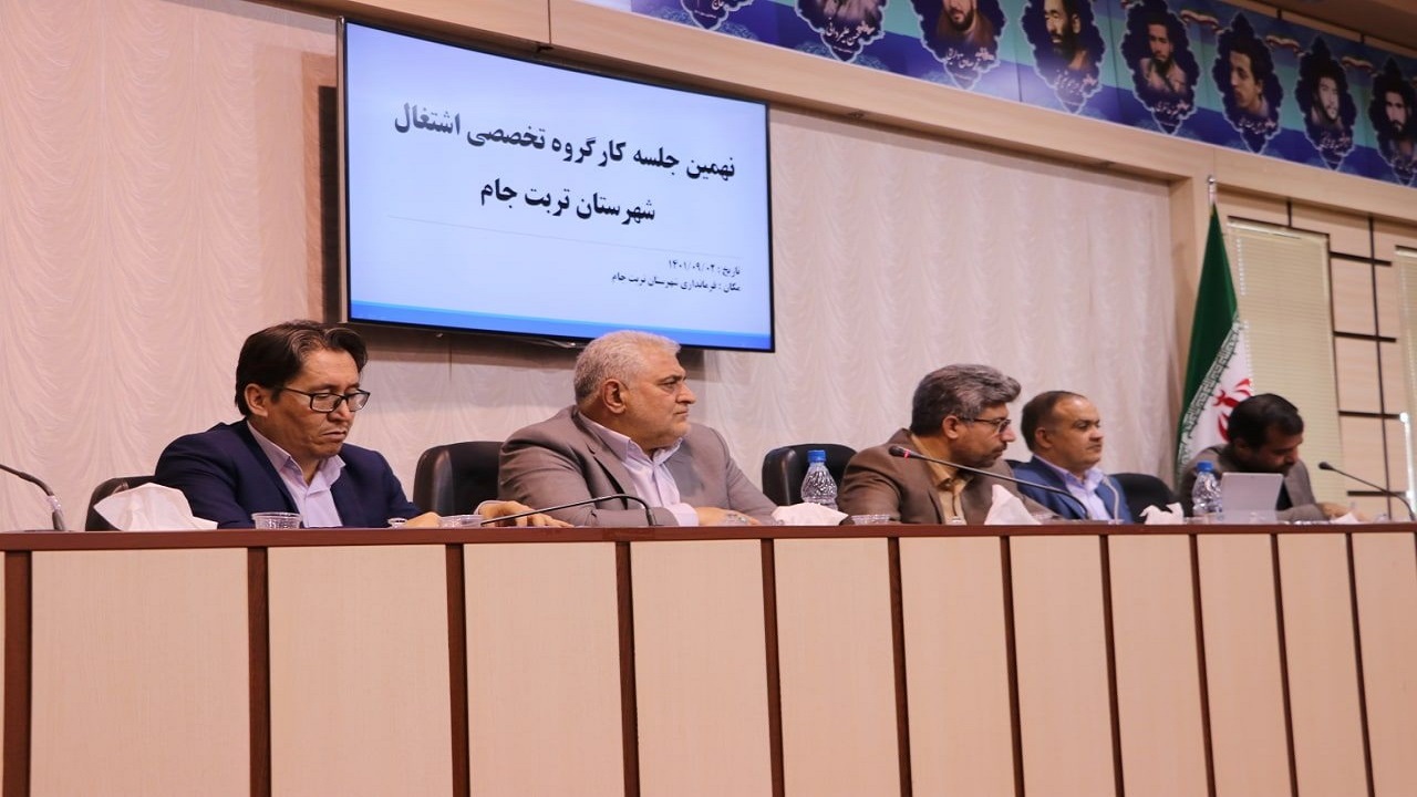 عمده‌ترین چالش مشاغل خانگی تربت جام نبود بازار ثابت است