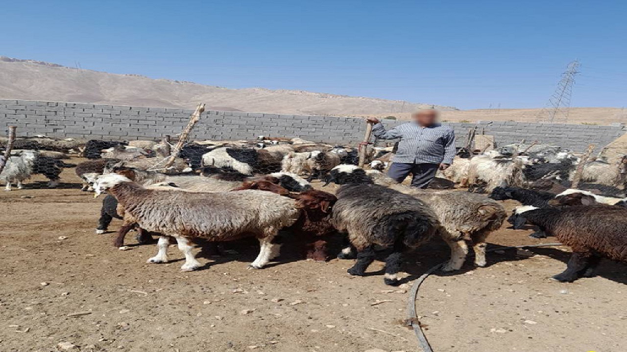پرداخت بیش از ۹۱۰ میلیارد تومان تسهیلات اشتغال به مددجویان استان اصفهان
