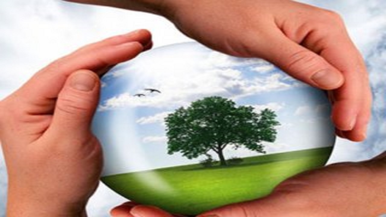 مقام سوم مسابقه ملی محیط زیست به نوجوان شهرکردی رسید