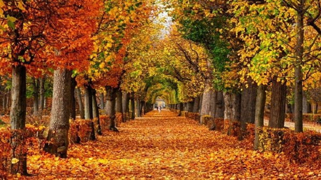 گوشه‌هایی از جلوه گری پاییز در فولادشهر + تصاویر
