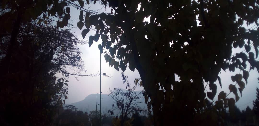 تصاویری از