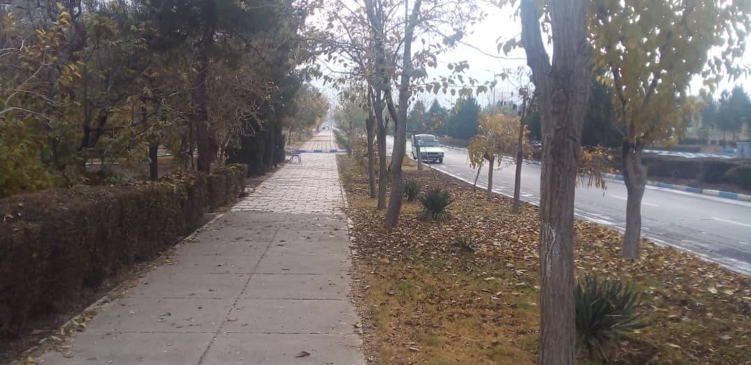 تصاویری از