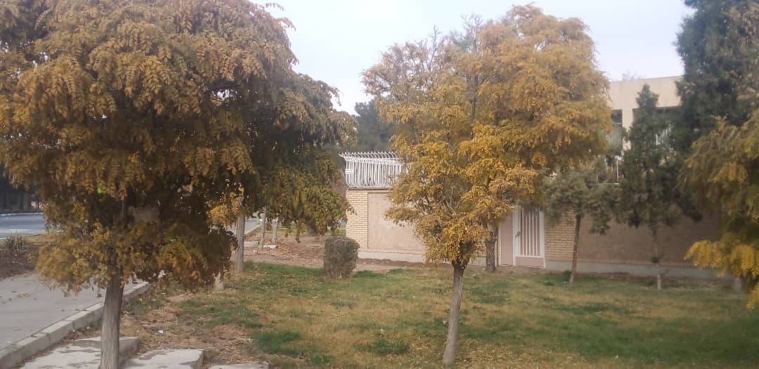تصاویری از