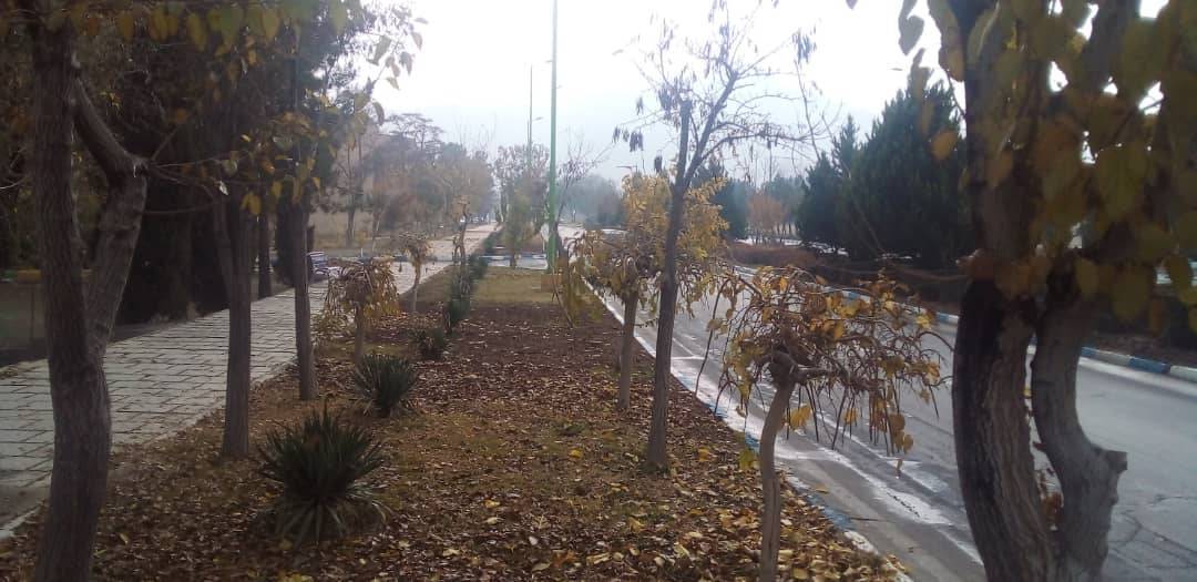 تصاویری از