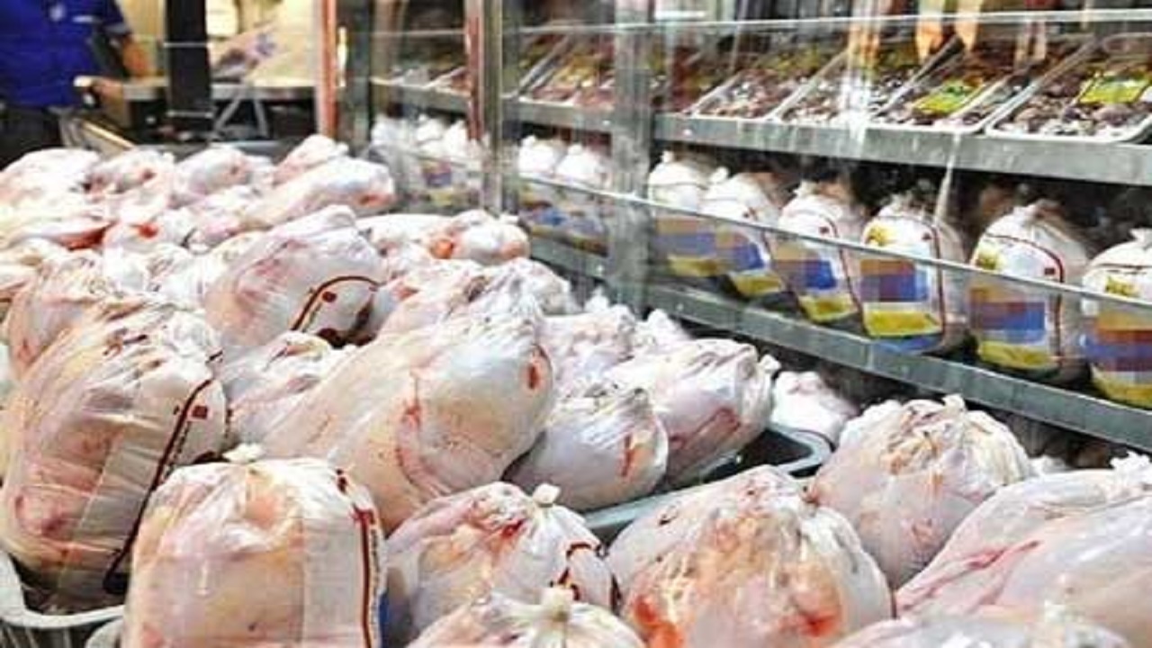 عرضه مرغ در بازار از تقاضا پیشی گرفت
