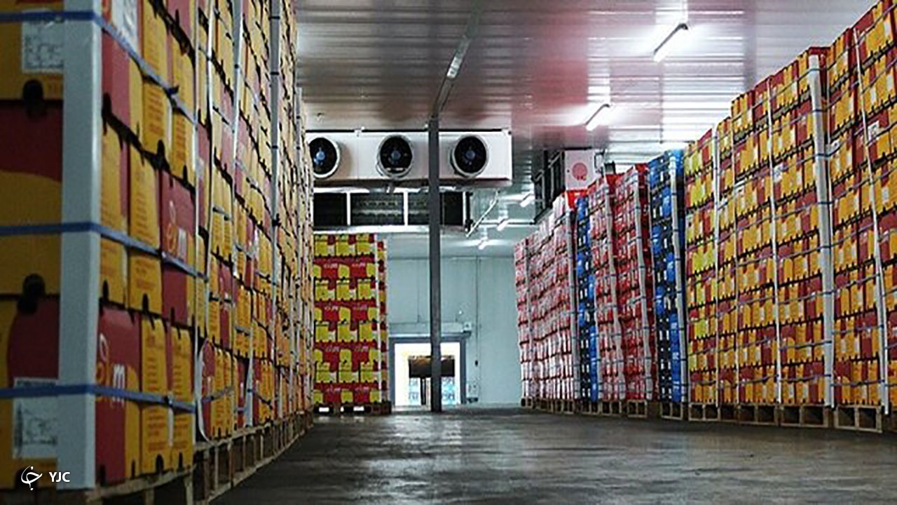 ذخیره‌سازی ۵۰۰ هزار تن سیب در سردخانه‌های آذربایجان‌غربی