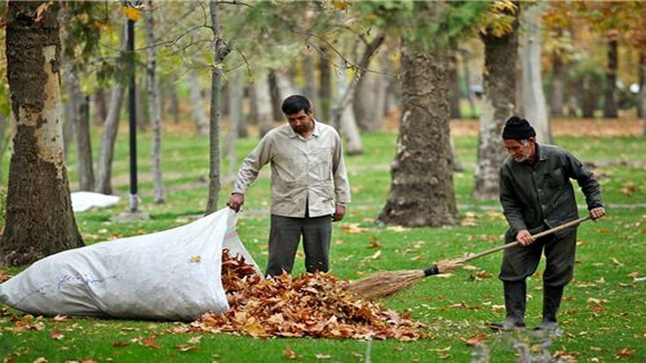 تبدیل برگ‌های پاییزی اصفهان به دو هزار تن خاک برگ