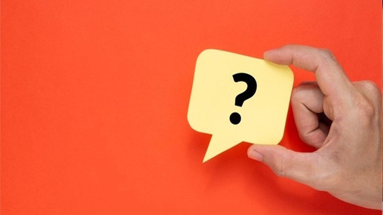 تست هوش؛ چند گربه در تصویر وجود دارد؟ + پاسخ