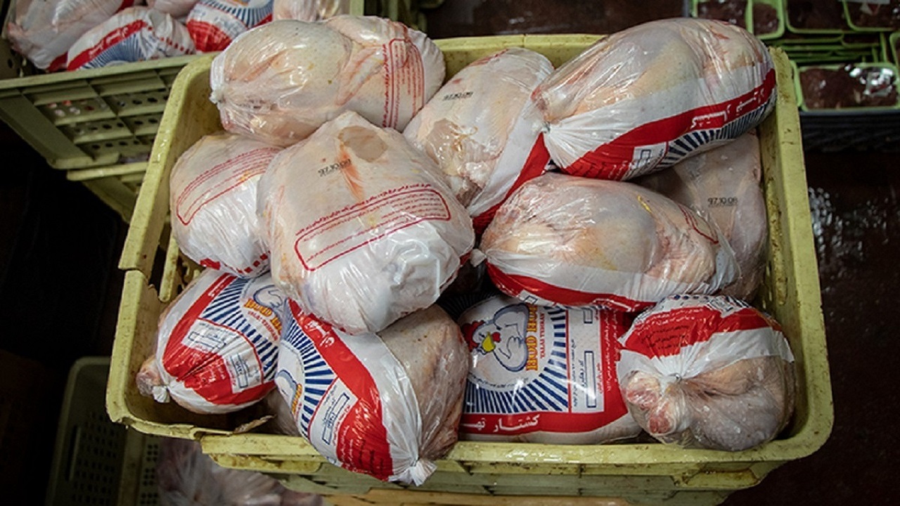 مرغ رایگان بین مددجویان گلستانی توزیع می‌شود