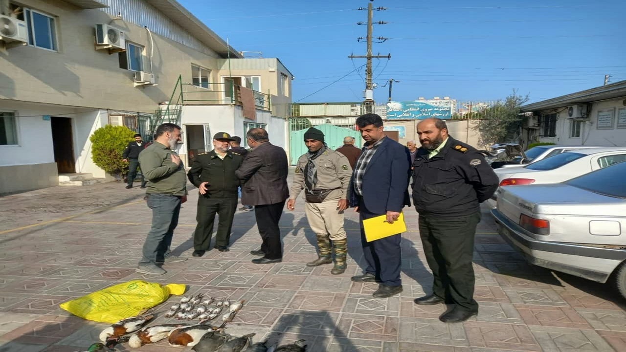 دستگیری قاچاقچیان پرندگان مهاجر در فریدونکنار