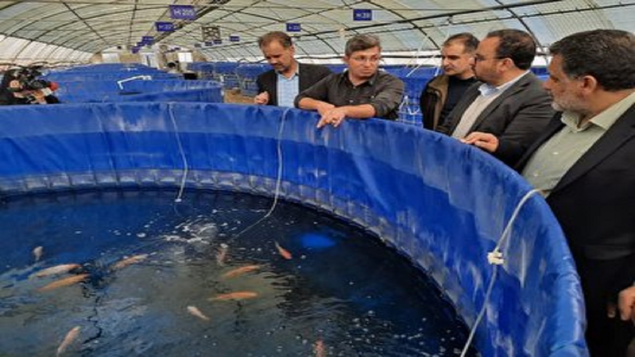 بافق، پایلوت آبزی پروری با مدل "آب در گردش"