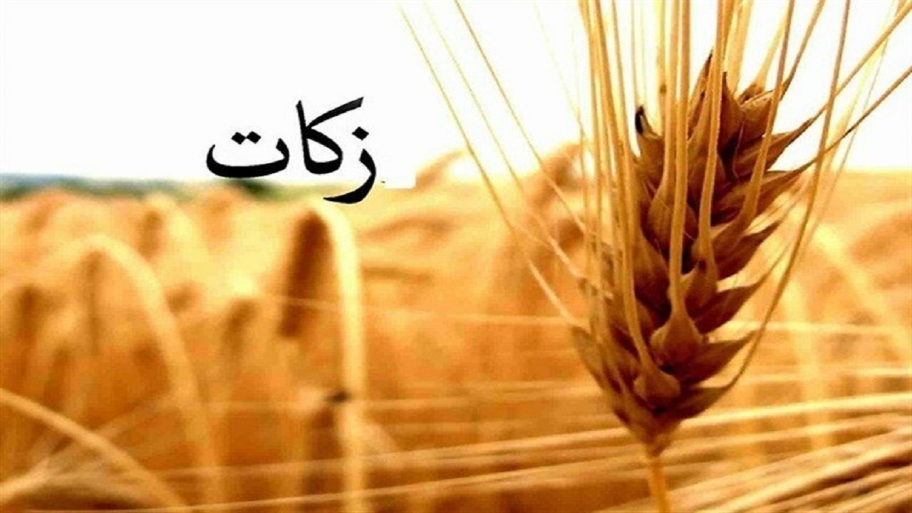 معرفی برترین‌های جشنواره ملی زکات در شهمیرزاد