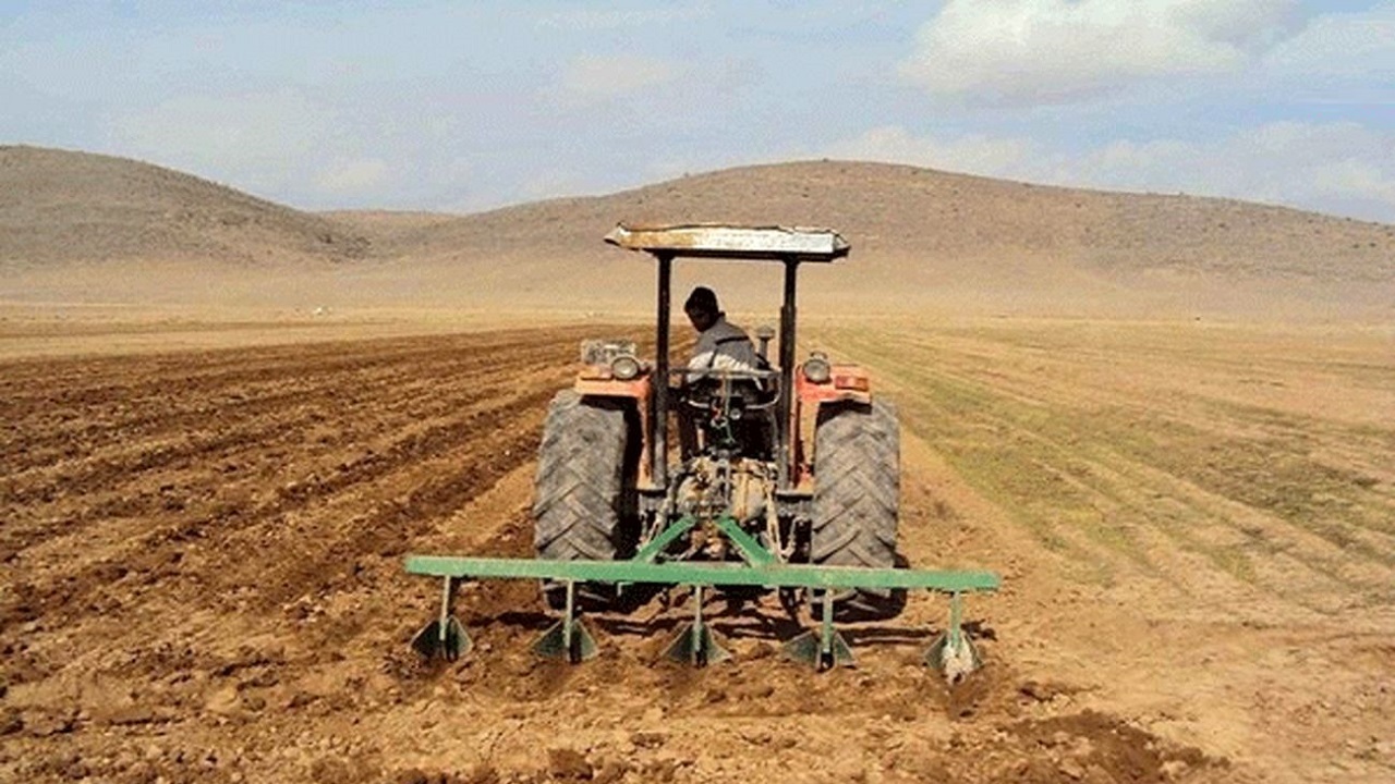 آغاز کشت قراردادی گندم آبی در استان مرکزی