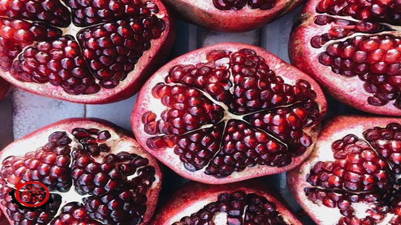 پزشکان انار این باغ تهران را برای درمان نوزادان تجویز می‌کردند