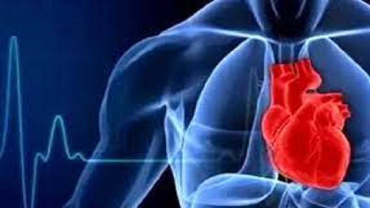 پروتئینی که منجر به بیماری قلبی می‌شود