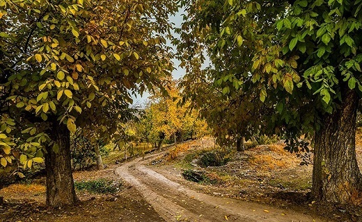 پاییز چشم نواز روستای نایه قم+تصاویر