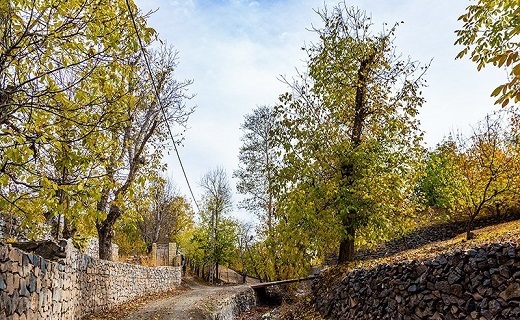 پاییز چشم نواز روستای نایه قم+تصاویر