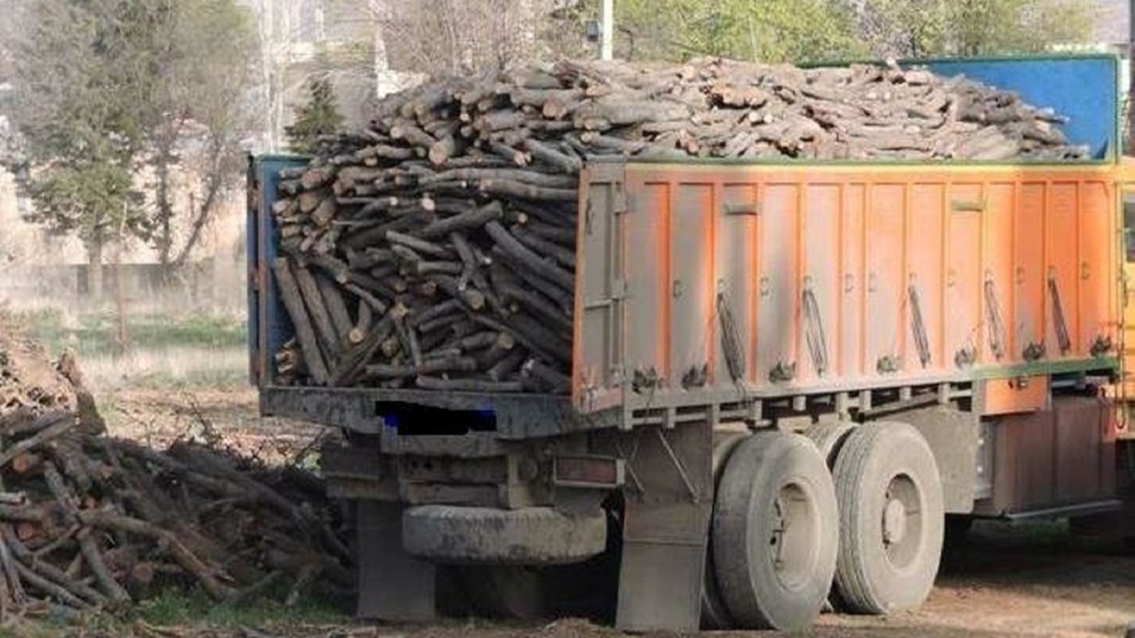 چوب آلات ورودی به کارخانه‌های تولید ام دی اف در اردبیل کنترل می‌شود