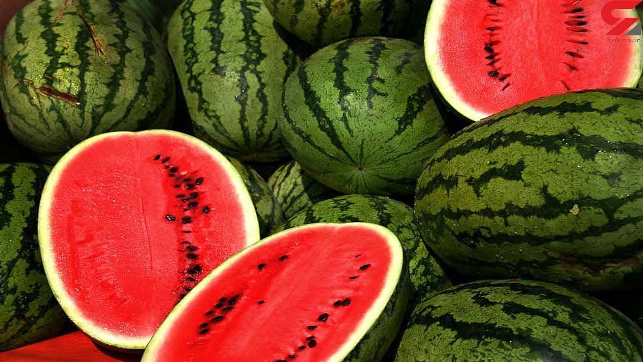 آغاز توزیع میوه شب یلدا در بندرعباس