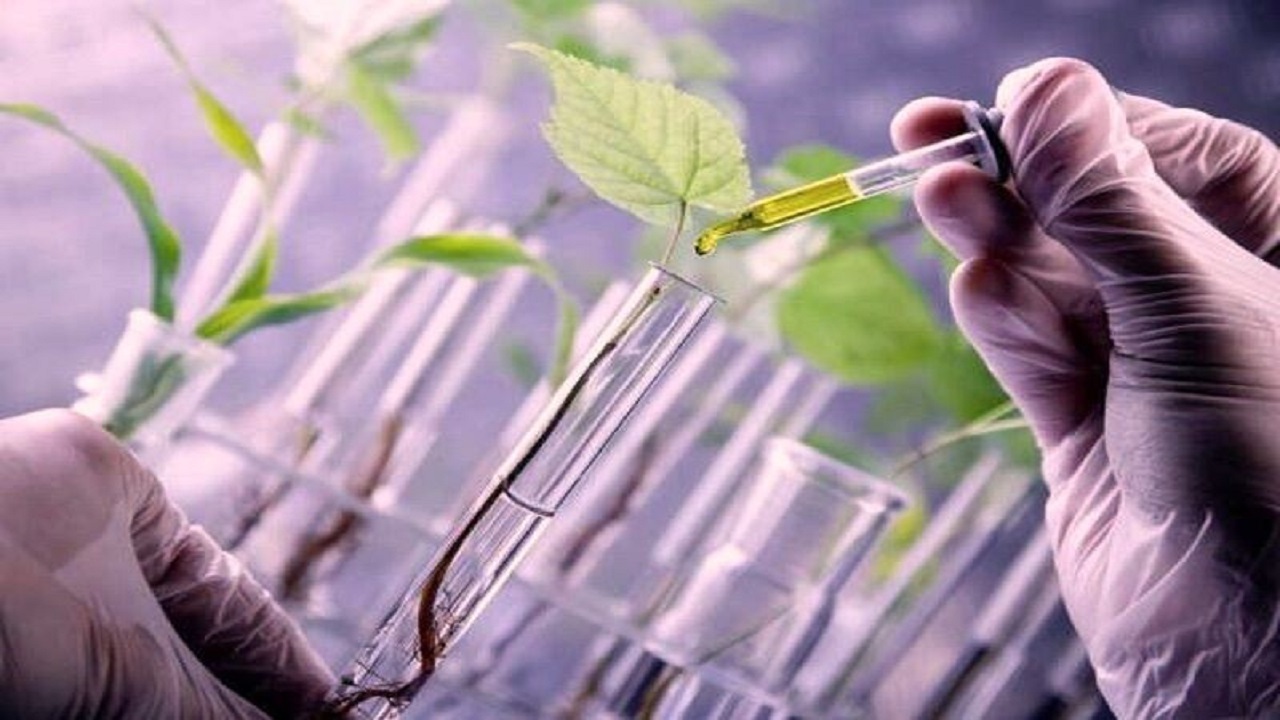 بازدید رییس جهاد دانشگاهی از مرکز ملی ذخایر ژنتیکی و زیستی ایران
