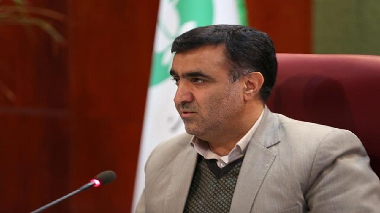 سالانه ۲۳۰ رأس از حیات‌ وحش در جاده میان‌گذر پارک ملی گلستان تلف می‌شوند