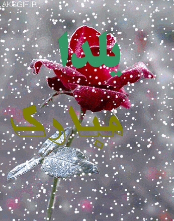 یلدا مبارک