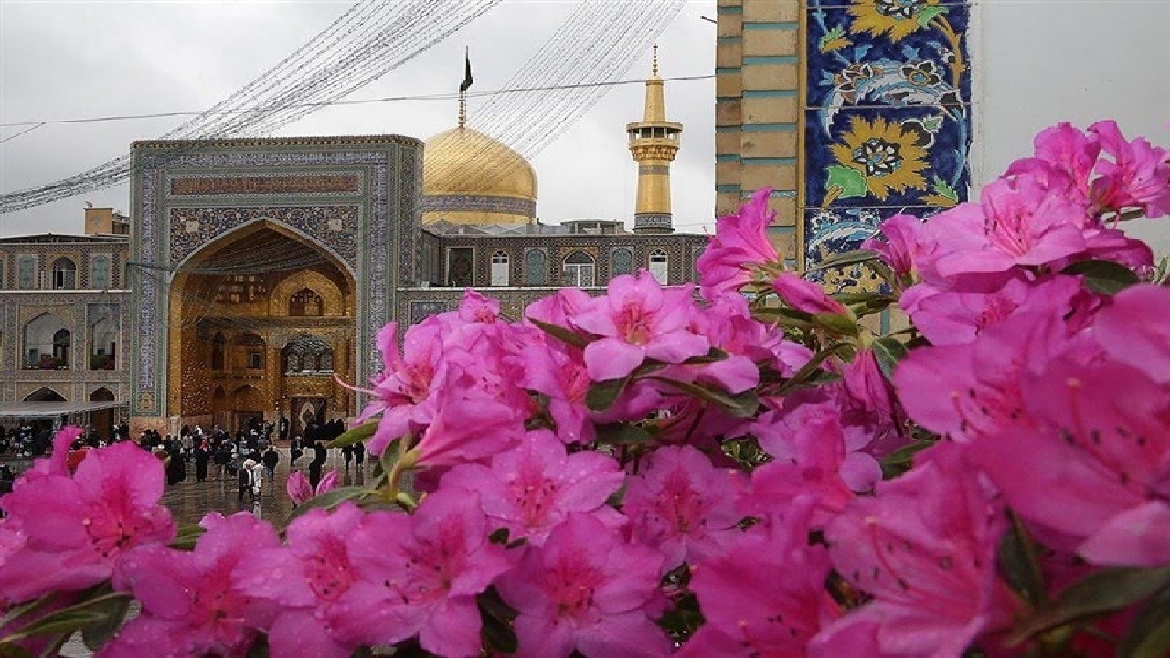 دل‌هایی که به حریم رضوی گره خوردند