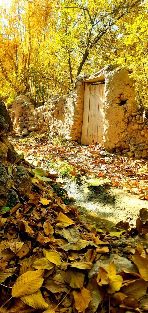 رخ نمایی فصل پاییز در سرتاسر کشور به روایت شهروند خبرنگار&zwnj;ها + تصاویر