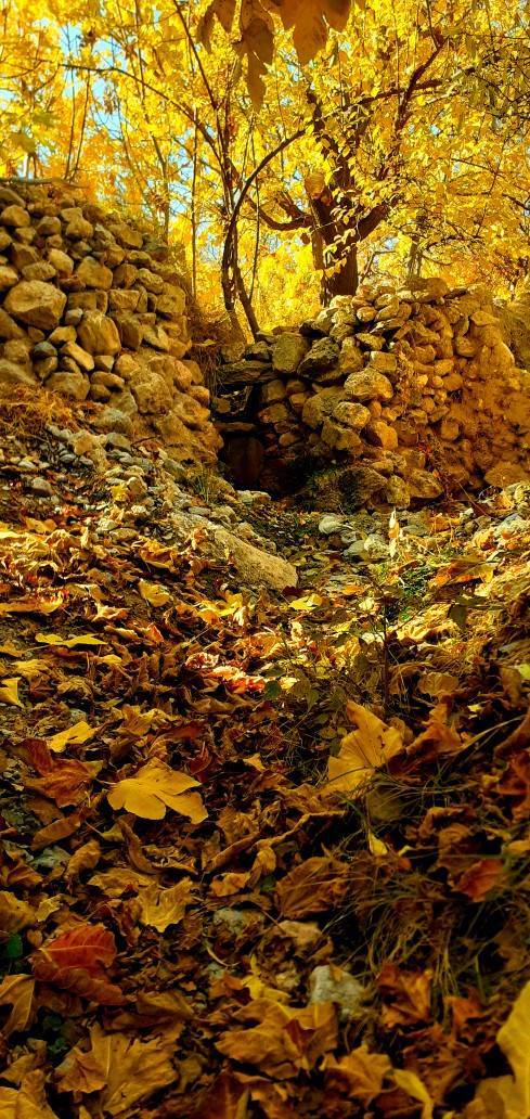 رخ نمایی فصل پاییز در سرتاسر کشور به روایت شهروند خبرنگار&zwnj;ها + تصاویر