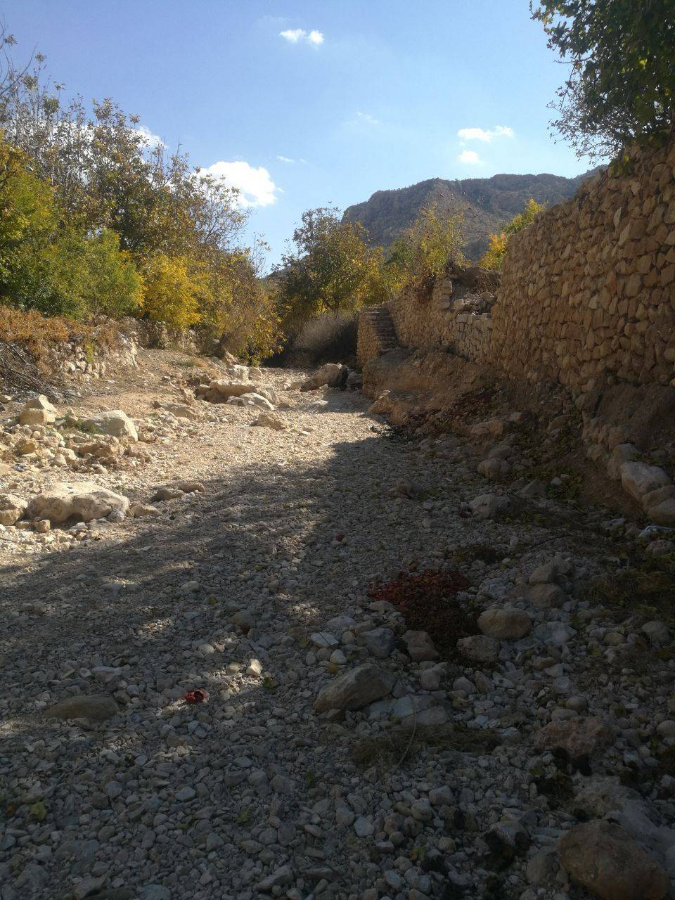 رخ نمایی فصل پاییز در سرتاسر کشور به روایت شهروند خبرنگار&zwnj;ها + تصاویر
