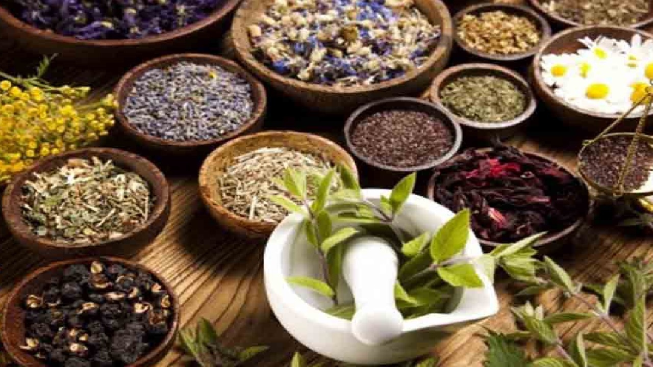 خشکسالی بلای جان گنجینه های سبز خراسان جنوبی