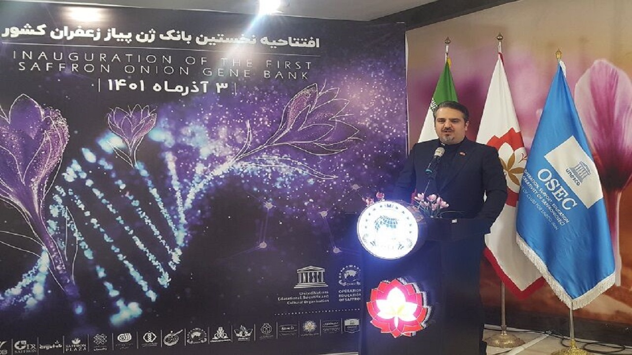 افتتاح نخستین بانک ژن پیاز زعفران ایران
