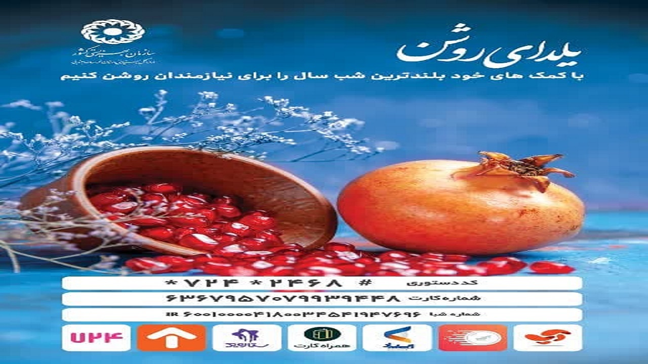 برگزاری پویش یلدای روشن برای کمک به مددجویان بهزیستی خراسان جنوبی