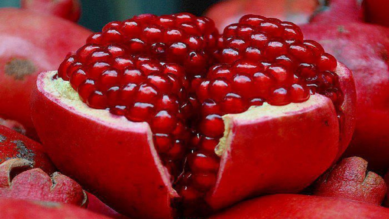 همنشینی‌های یلدایی و روستایی در البرز