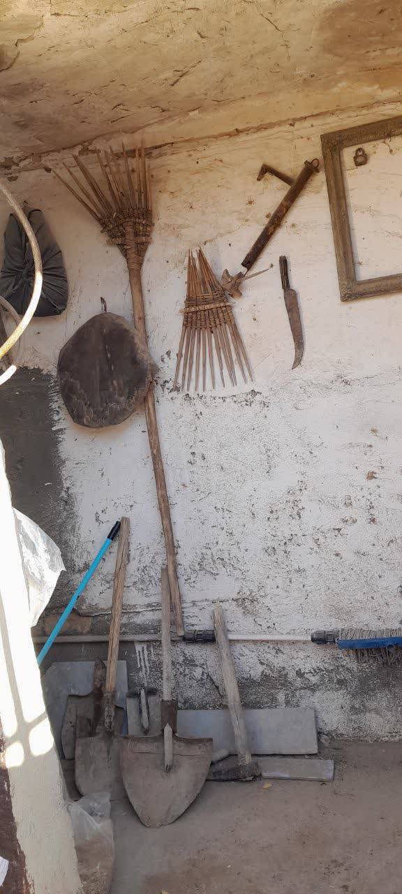 گروه پژوهش