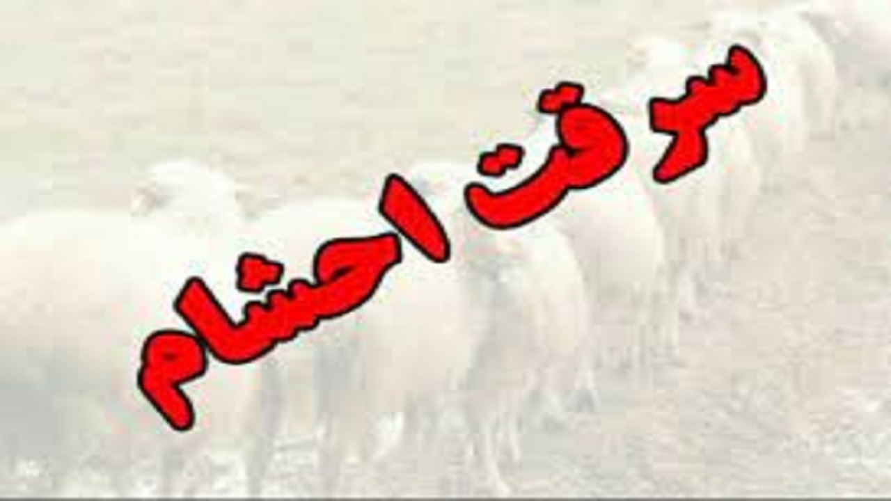 دستگیری باند سارقان احشام در  نظرآباد