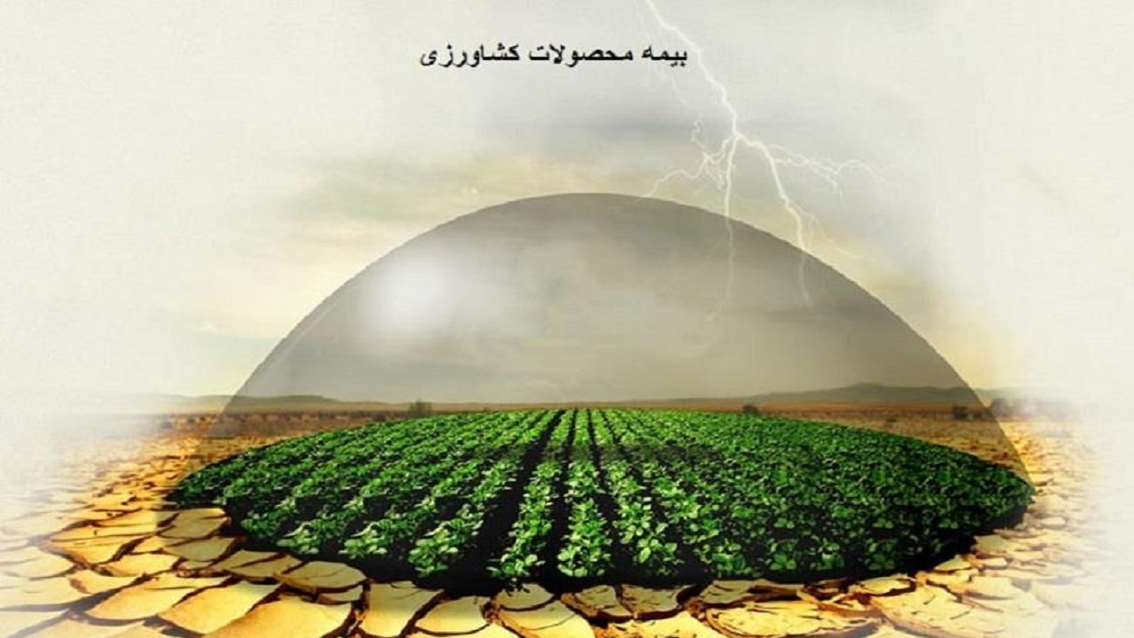 بیش‌از۳۲ هزار بیمه نامه کشاورزی در سیستان و بلوچستان صادر شد