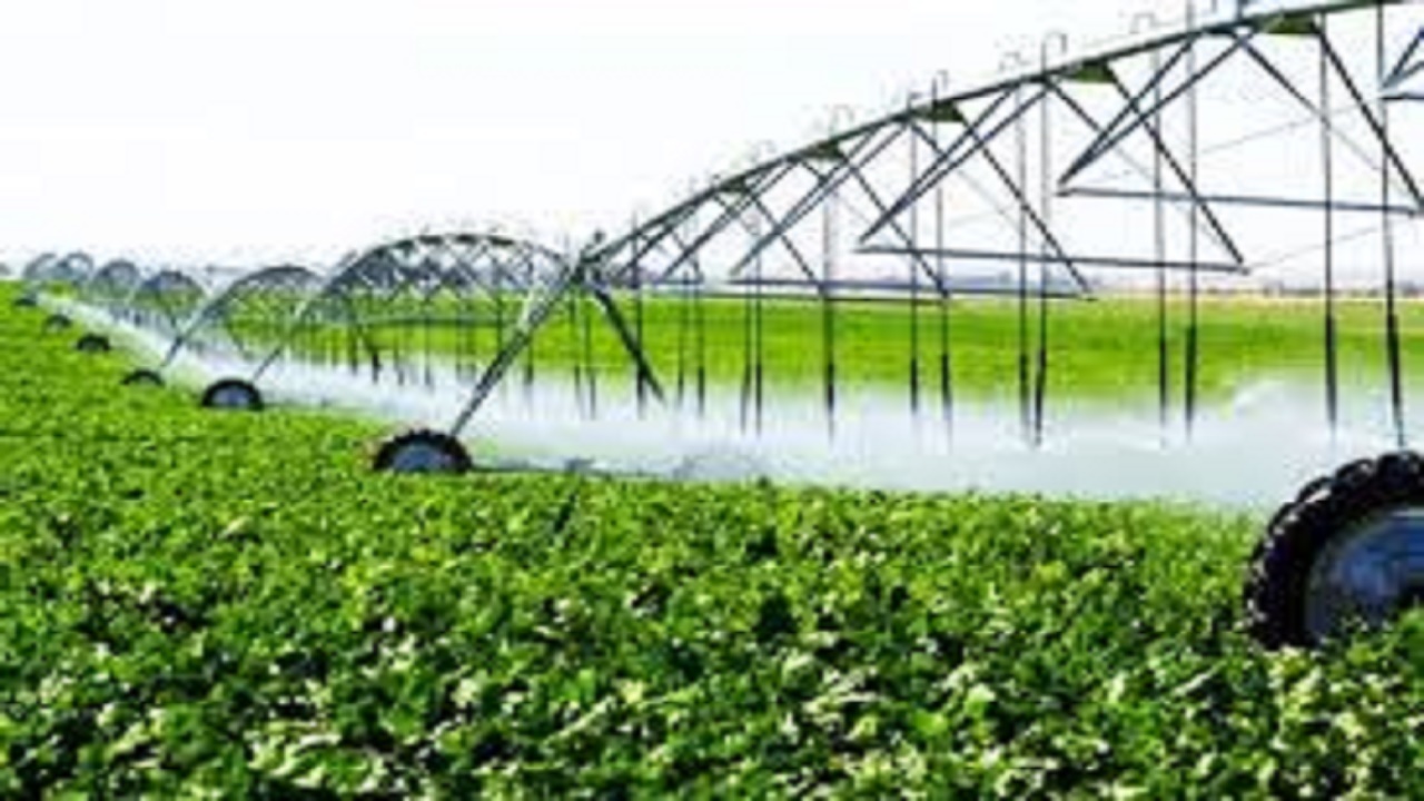 آبرسانی به اراضی دیم گچساران نیازمند ۳۰۰ میلیارد تومان اعتبار