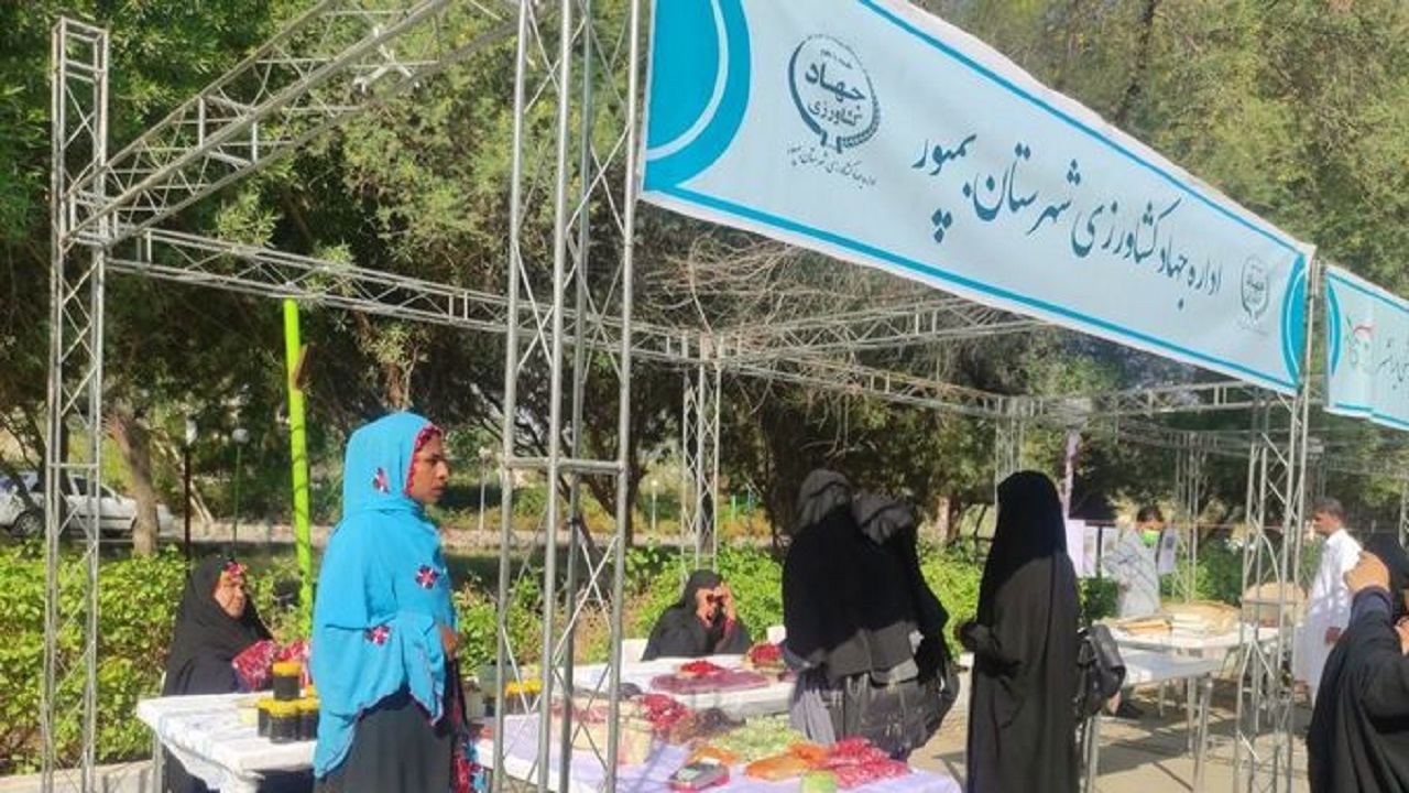 تشکیل ۱۵ صندوق خرد زنان روستایی در شهرستان بمپور