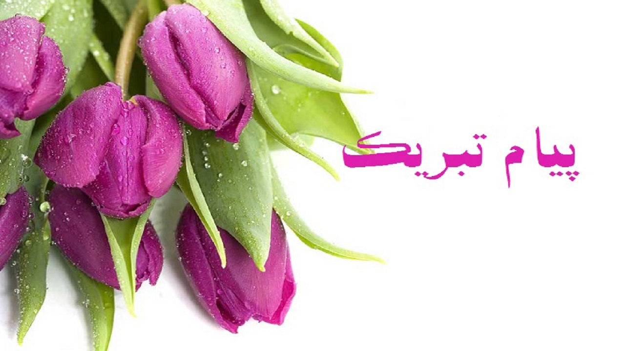 پیام تبریک استاندار آذربایجان شرقی در پی پیروزی تیم ملی فوتبال ایران