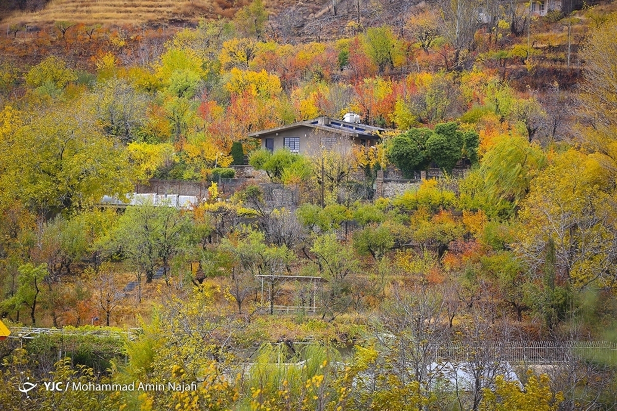 پاییز در جنگل‌های هیرکانی گلستان