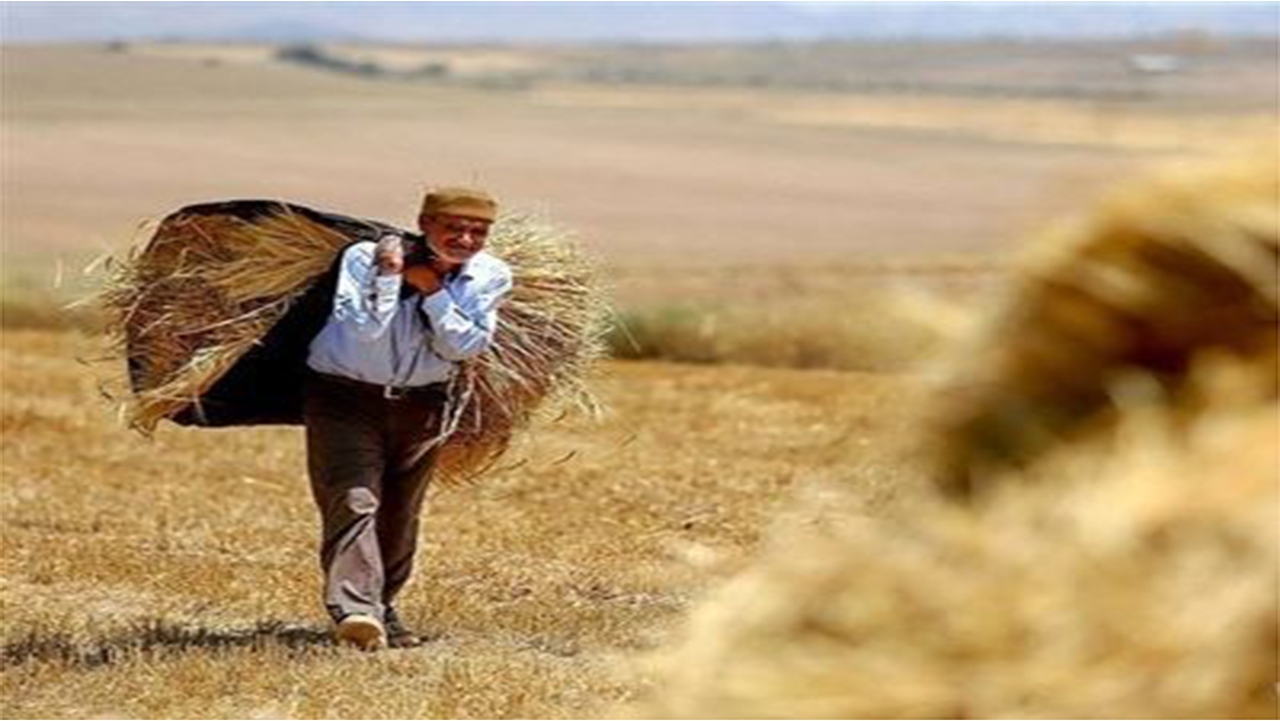 پرداخت ۵۰۰ میلیارد تومان غرامت به کشاورزان