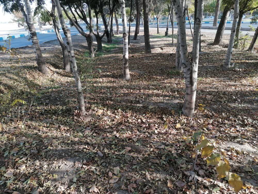 نمایی از طبیعت پاییزی در سرتاسر کشور + تصاویر