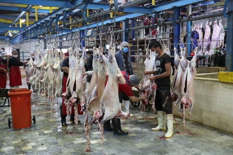 بلاتکلیفی احداث کشتارگاه‌های صنعتی در خراسان رضوی