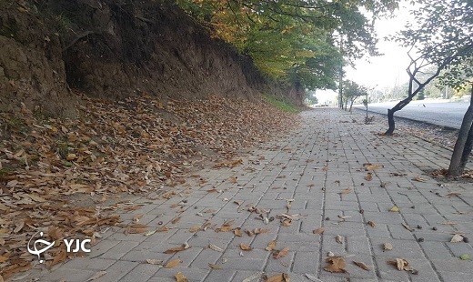 تصاویری از پاییز دل انگیز استان گلستان