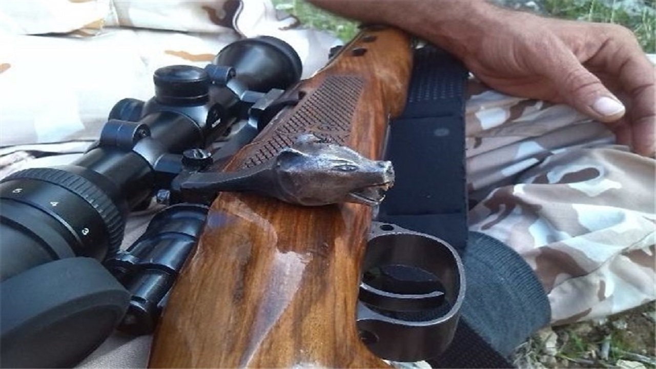 شکارچی قوچ در "درق" دستگیر شد