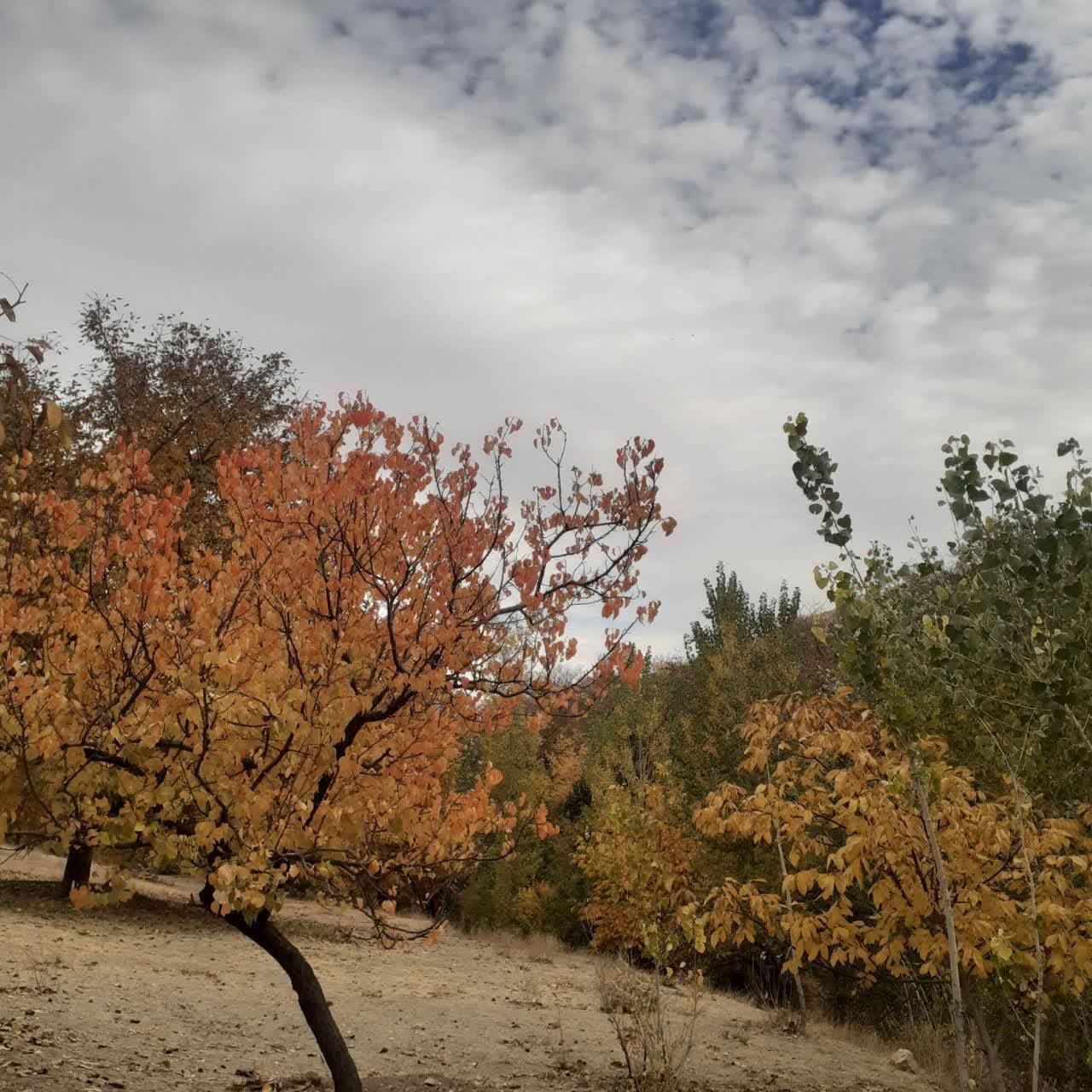 گردش یک روز پاییزی در روستای پشتوک + تصاویری