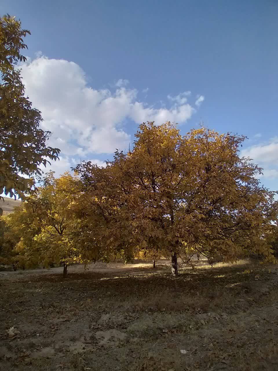 گردش یک روز پاییزی در روستای پشتوک + تصاویری